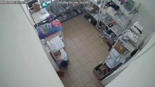 ZIbOPoUgfWVEha2BJX